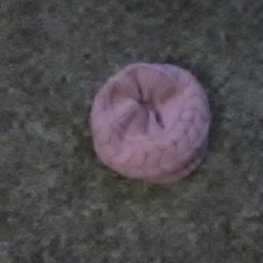 hat
